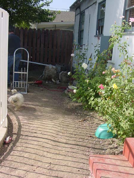 DSC06223